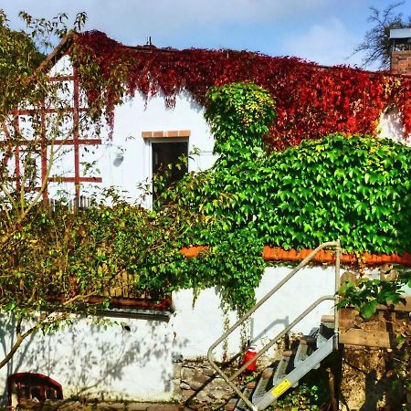 Ferienwohnung Zeitraum FeWo Bad Wildungen Exterior foto
