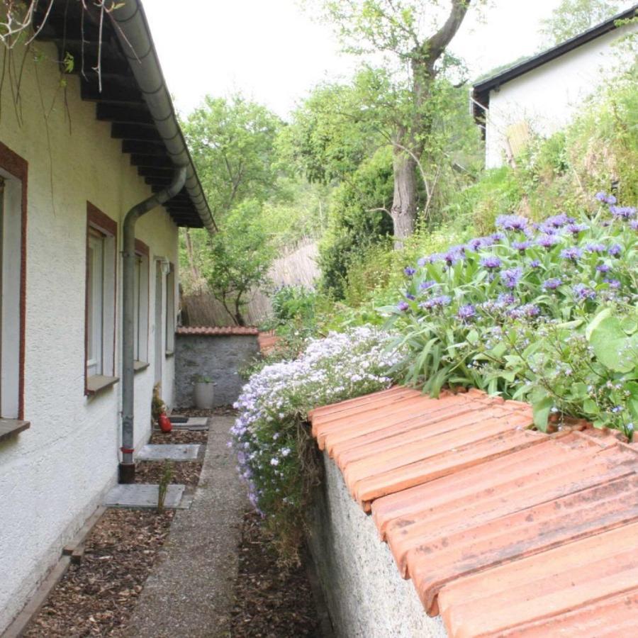 Ferienwohnung Zeitraum FeWo Bad Wildungen Exterior foto