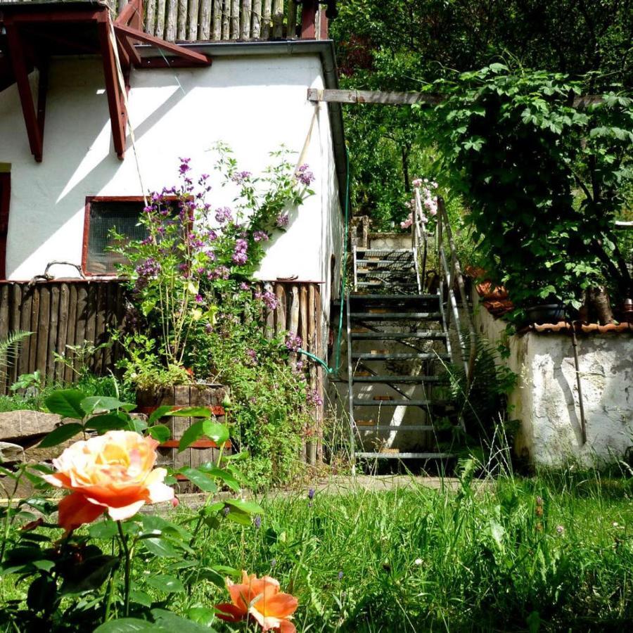 Ferienwohnung Zeitraum FeWo Bad Wildungen Exterior foto